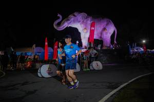 BIB: 
                            <button type="button" onclick="openModal(26551920)" class="btn btn-primary btn-sm float-right btn-popup" data-toggle="modal" data-target=".modal-high-quality">
                        <i class="fas fa-shopping-cart"></i> Add to Cart
                    </button>
                                            <button type="button" onclick="isThisMe(26551920, true)" class="btn btn-success btn-sm float-right btn-popup btn-isme hidden" data-toggle="tooltip" data-placement="bottom" title="นี่คือรูปของคุณใช่ไหม คลิกที่นี่เพื่อเอาเข้าอัลบั้ม">
                        <i class="fas fa-plus"></i> Add to album
                    </button>
                    <button type="button" onclick="isThisMe(26551920, false)" class="btn btn-warning btn-sm float-right btn-popup btn-isnotme hidden">
                        <i class="fas fa-ban"></i> Remove from album
                    </button>